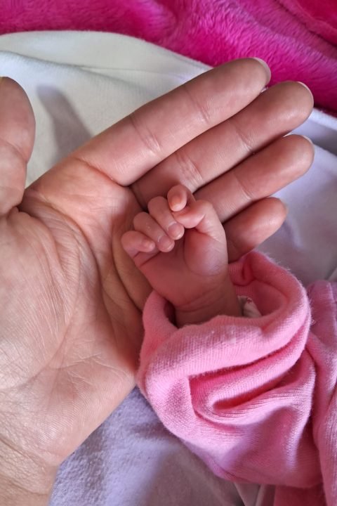 8c2f0ea3-f5fb-4ed8-8a33-7f90c17af657