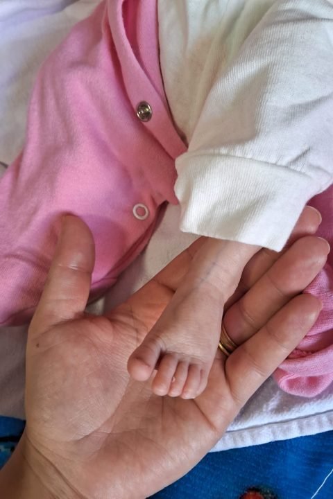 bacd34c5-b1d6-49a1-a729-e79b16c98c6f